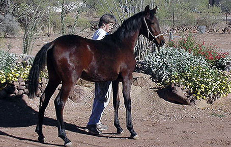 Aareebah and Linda Bochanski  - December 2002 Frank Bochanski  photo