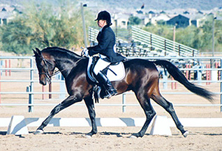 Ahmed Fabo  -  Diana Johnson photo at the Saguaro Classic Arabian Show