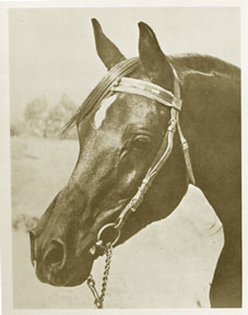 Famous Khebir headshot from AHW Oct 1962 page 33