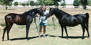Ahmeds Khedena, 18 months old, Bruce Johnson and Masada Mishannah - 1997 Diana Johnson photo