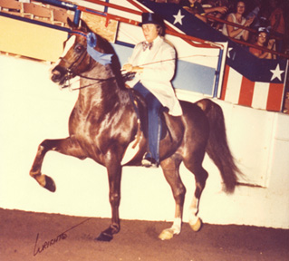 Mahrouf with trainer Carolyn Gardner up.