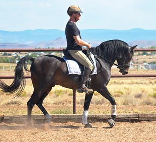 Serr Kazmeen with Alan Weber up - Frank Bochansky photos