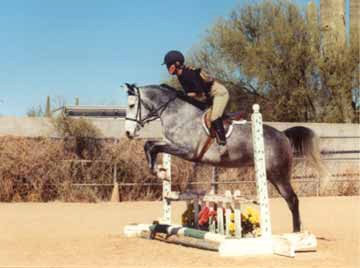 Fa Maarlina learning to jump with Jackie Krueglic.  Maarlina is owned by Elaine Yerty of Texas.  Diana Johnson Photo
