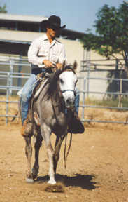 Shalima graduated to arena work at less than 7 rides.  At less than 14 rides she was out on the desert trails.