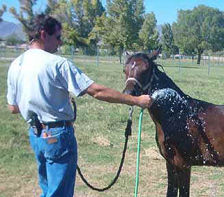 Dr. Keith Kosel cooling off a happy Amira