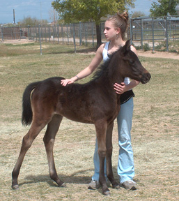 Khebirs Kira with a favorite farm visitor, Becky.  -  March 24, 2005 Diana Johnson photo