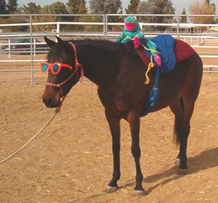 Nefrett - Jan 21st 2003 Diana Johnson Photo - Tammy Sandidge on the lead