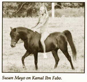 He is being ridden in a pasture with mares grazing.  One of his first times being ridden.  Susan is from Denton Texas.  Cyann Looney Photo