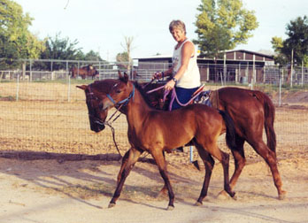 Cher out for a walk with her mom "Sonny" and owner Brenda  Busboom.  Cher's Grandpa Serabaar's barn is in the background.  August 2002 photo     