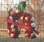 A beautiful rose memorial wreath send by Cyndi, one of his favorite fans.