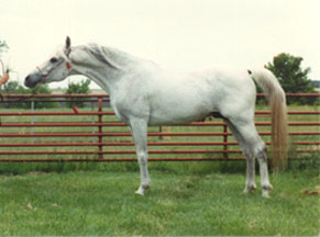 1990-Gardner Collection Photo