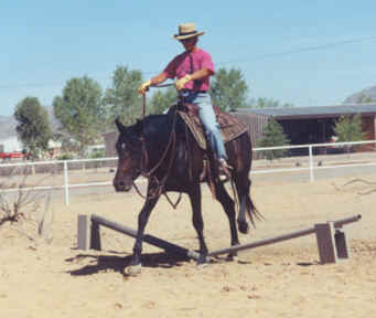 Someday this will be a jump! June 2002 Diana Johnson photo