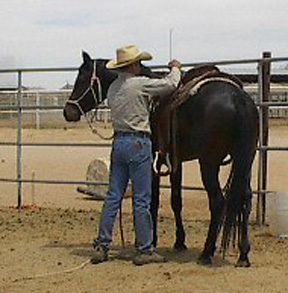 Shown here with Randy Sandidge on the occassion of his 1st offical saddling  -  May 2002 Tammy Sandidge photo
