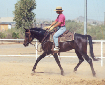 Just picture a dressage saddle....        June 2002 Diana Johnson photo