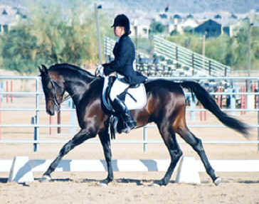 Ahmed Fabo - Saguaro Classic Arabian Horseshow  - December 2002 Diana Johnson Photo