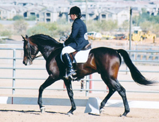 Ahmed Fabo - Saquaro Classic Arabian Horseshow  -  Dec. 2002 Diana Johnson Photo
