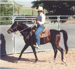 Abbas Ibn Lothar's first ride - Randy Sandidge riding