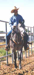Ahmed Serr-Fabah being ridden in a halter by Randy Sandidge - 2001 Diana Johnson photo