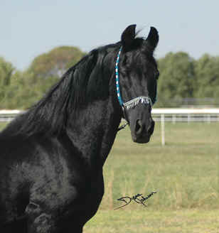 Ru Fadl Esswad a week after his arrival - Sept 2008 Diana Johnson photo