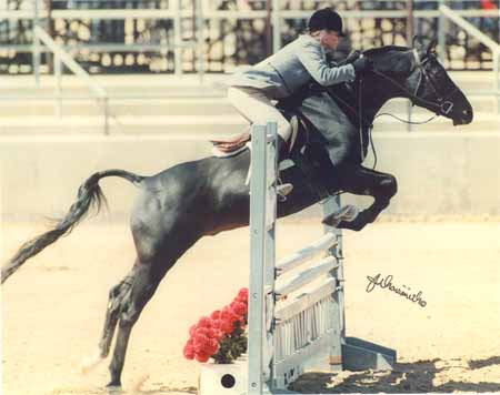 Ibn Sabbah Bedu - c J W Naismith photo