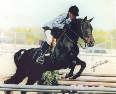 Ibn Sabbah Bedu - c J W Naismith photo